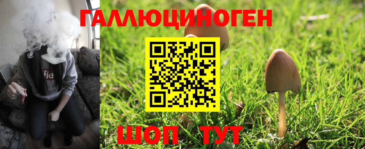 Краснокаменск  Галлюциногенные грибы GOLDEN TEACHER  Вход с VPN  Псилоцибиновые грибы ЛСД 